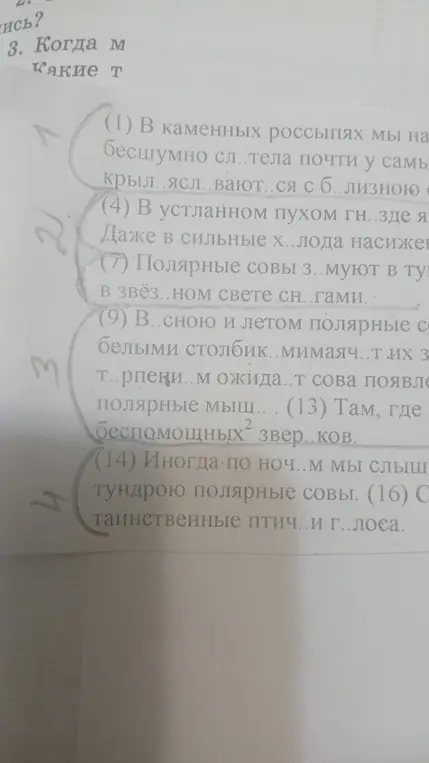 Вставь пропущенные буквы в предложениях.