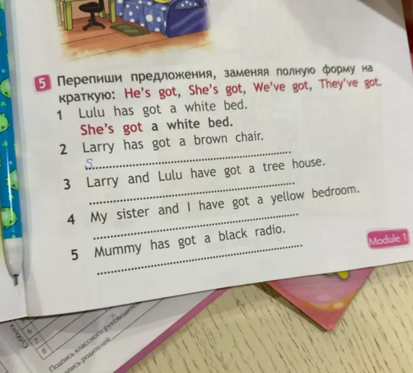 Перепиши предложения, заменяя полную форму на краткую: He's got, She's got, We've got, They've got.