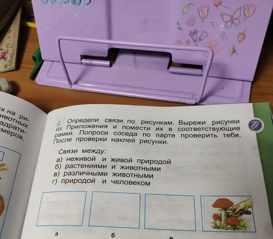 Определи связи по рисункам: а) неживой и живой природой