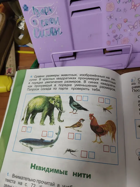 Сравни размеры животных, изображённых на рисунке.