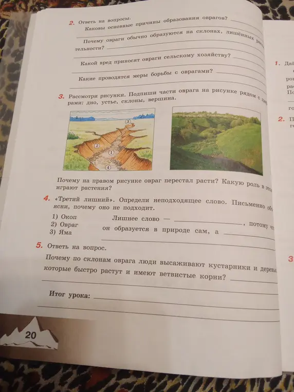 Подпиши части оврага на рисунке рядом с цифрами: дно, устье, склоны, вершина.