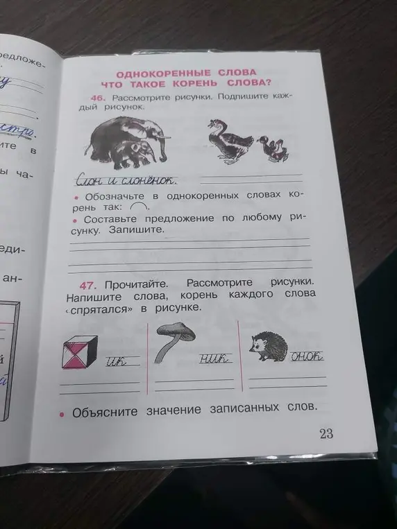 Рассмотри рисунки, подпиши каждый рисунок. Обозначь в однокоренных словах корень.