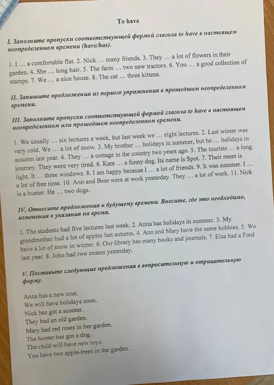 Заполни пропуски соответствующей формой глагола to have в настоящем неопределенном времени (have/has).