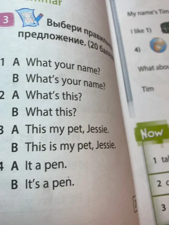Выбери правильное предложение.