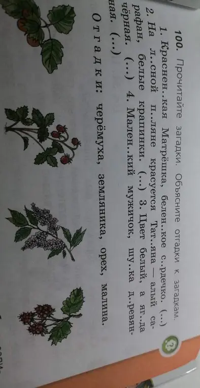 Прочитай загадки и объясни отгадки к загадкам.