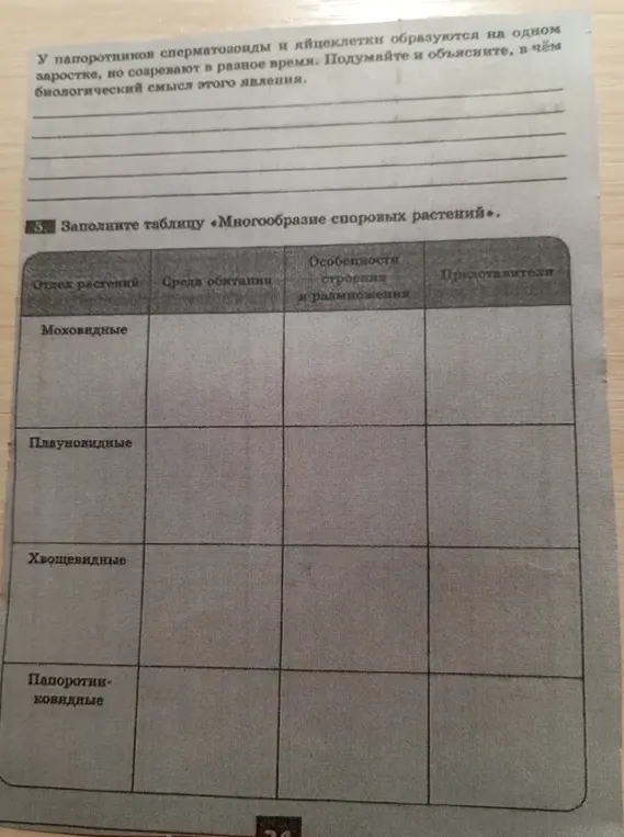 Заполни таблицу «Многообразие споровых растений»