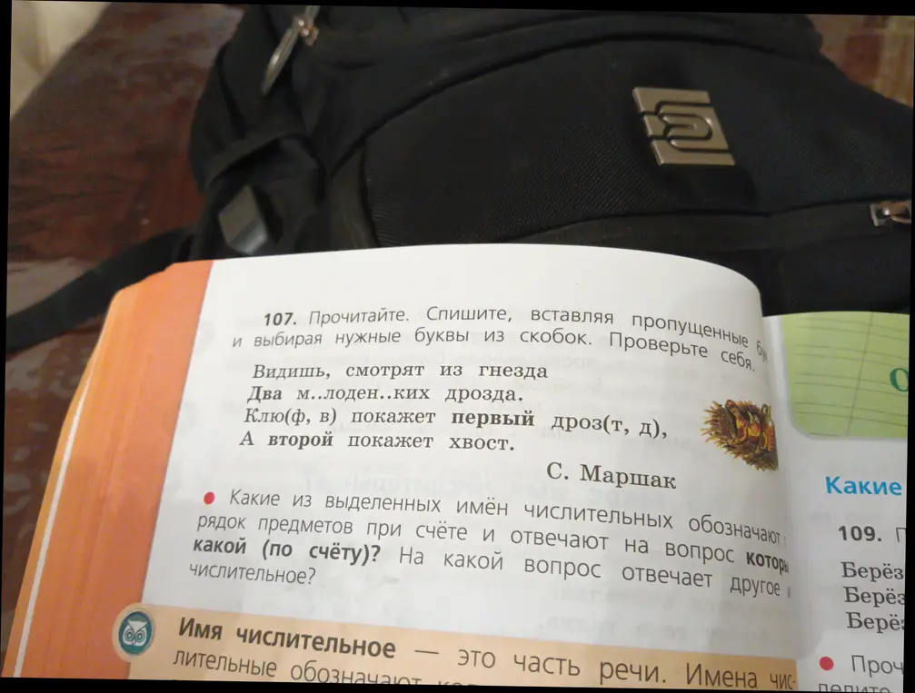 Спиши стихотворение, вставляя пропущенные буквы и выбирая нужные буквы из скобок. Ответь, какие из выделенных имен числительных обозначают порядок предметов при счёте и отвечают на вопрос какой (по счёту)? На какой вопрос отвечает другое числительное?