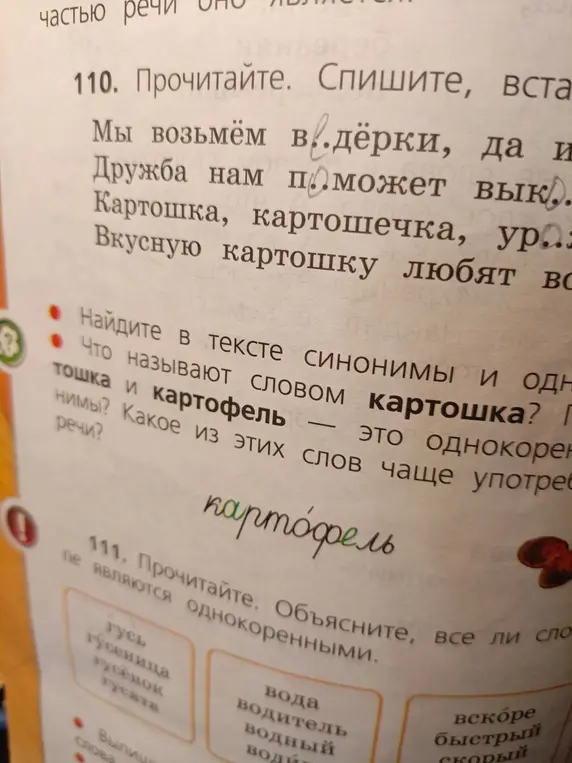 Прочитай, спиши, вставь буквы в предложения. Найди синонимы и однокоренные слова к слову картошка. Объясни, все ли слова однокоренные.