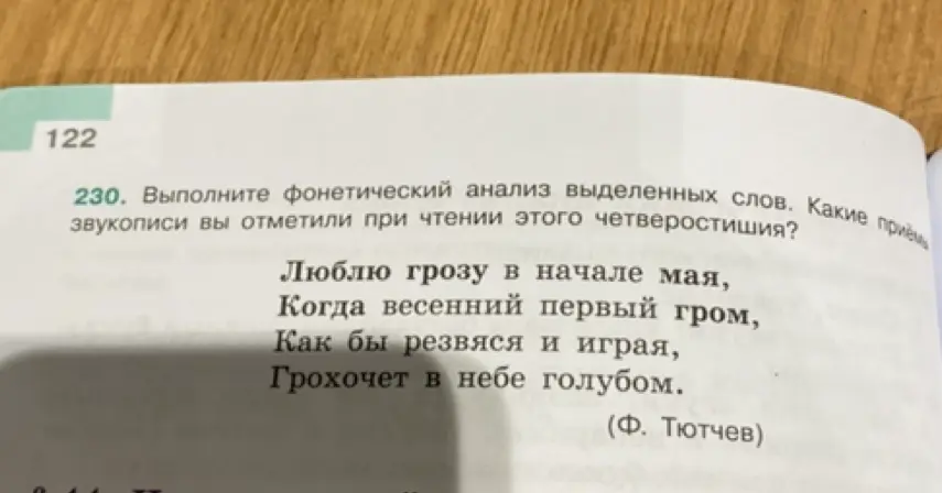 Выполни фонетический анализ выделенных слов.