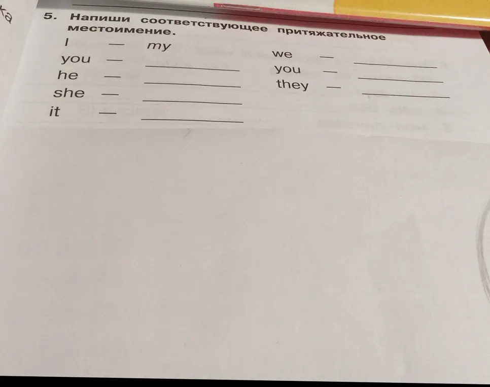 Напиши соответствующее притяжательное местоимение.