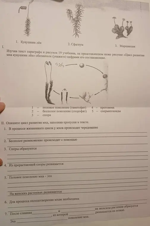 Выполни задание по биологии за 7 класс