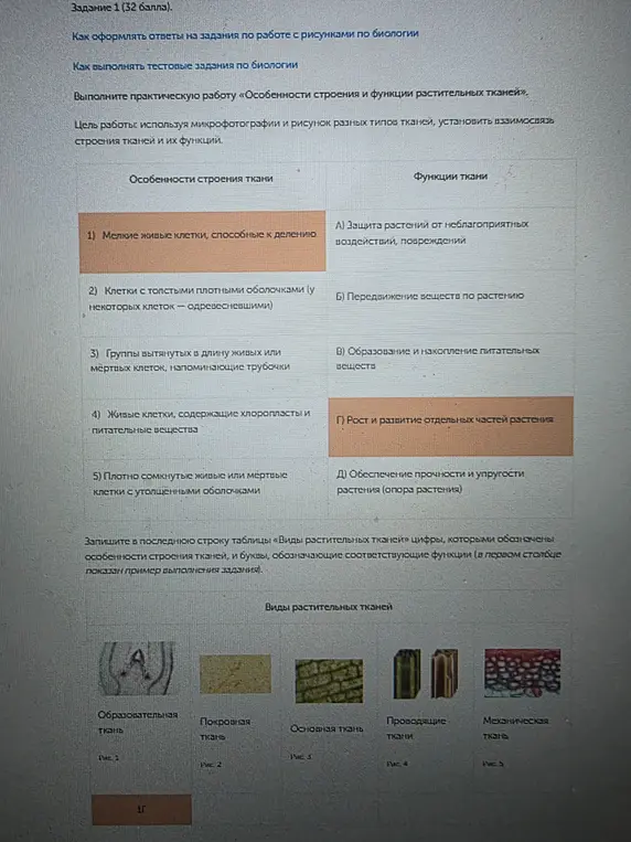 Выполни практическую работу «Особенности строения и функции растительных тканей» и заполни последнюю строку таблицы «Виды растительных тканей» цифрами, которыми обозначены особенности строения тканей, и буквами, обозначающие соответствующие функции.