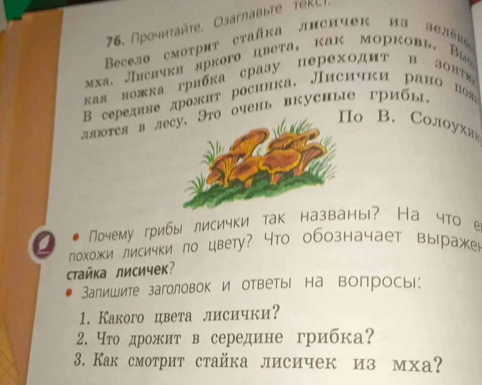 Озаглавь текст и ответь на вопросы: 1. Какого цвета лисички?