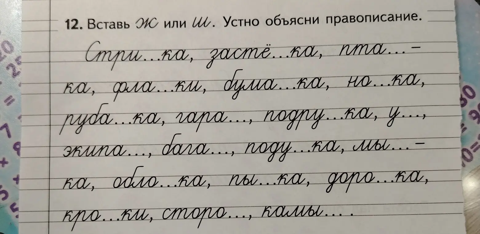 Вставь Ж или Ш в слова.