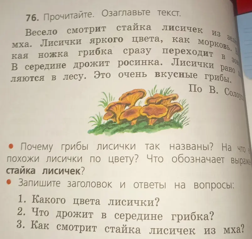 Озаглавь текст про лисички и ответь на вопросы о цвете лисичек, о том, что дрожит в середине гриба, и как смотрит стайка лисичек из мха.