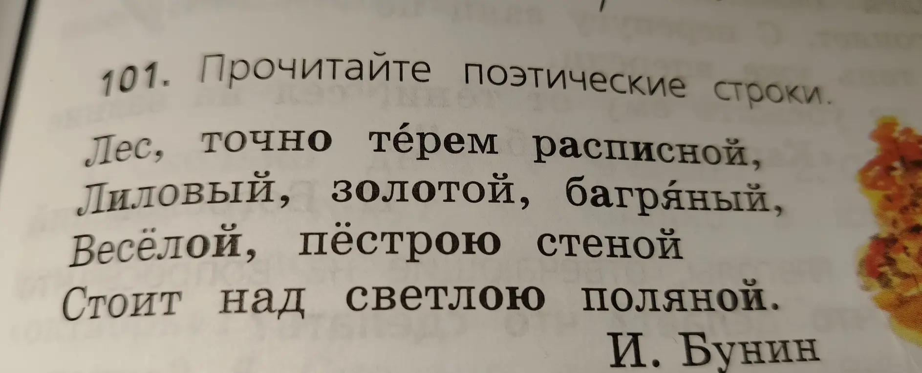 Прочитай поэтические строки.