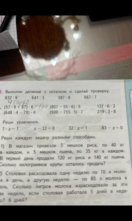 Выполни деление с остатком и сделай проверку, реши выражения и уравнения, а также реши задачи про крупу и молоко.