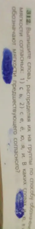 Раздели слова на группы по способу обозначения мягкости согласных.