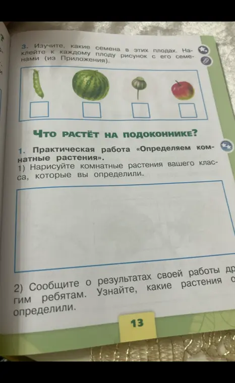 Изучи, какие семена в этих плодах. Наклей к каждому плоду рисунок с его семенами (из Приложения).