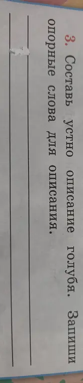 Составь устно описание голубя и запиши опорные слова.