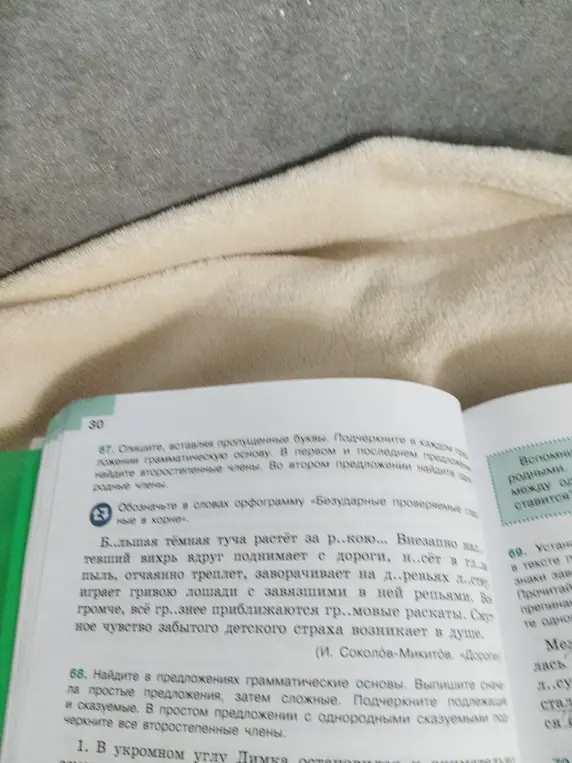 Найди в предложениях грамматические основы, выпиши сначала простые предложения, затем сложные, подчеркни подлежащие и сказуемые. В простом предложении с однородными сказуемыми подчеркни все второстепенные члены.