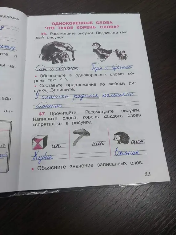 Рассмотри рисунки, подпиши каждый рисунок, обозначь в однокоренных словах корень, составь предложение по любому рисунку и запиши, прочитай и рассмотри рисунки, напиши слова, корень каждого слова «спрятался» в рисунке, объясни значение записанных слов.