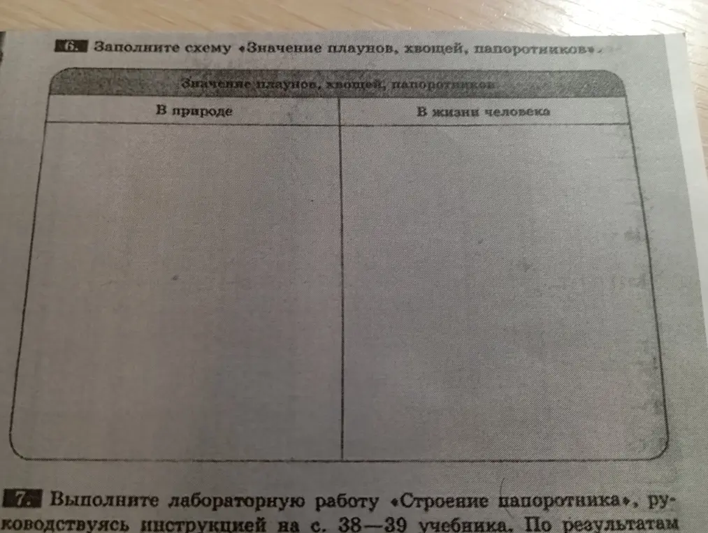 Заполни схему про значение плаунов, хвощей, папоротников в природе и в жизни человека.