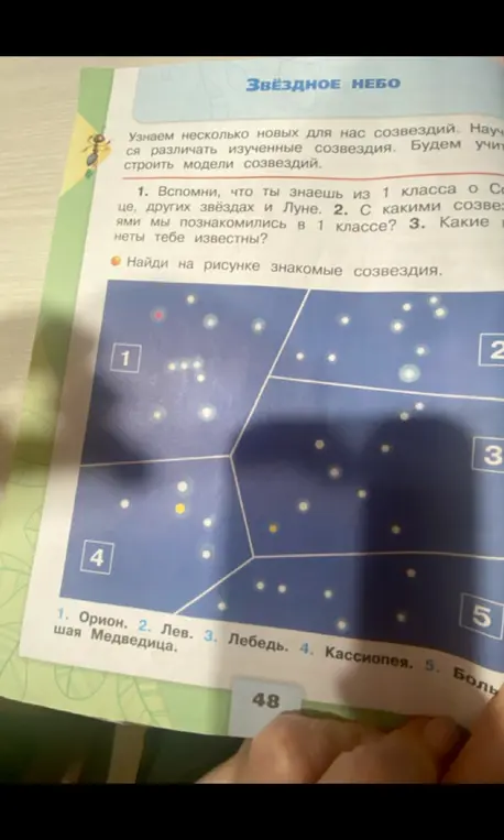 Найди на рисунке знакомые созвездия.