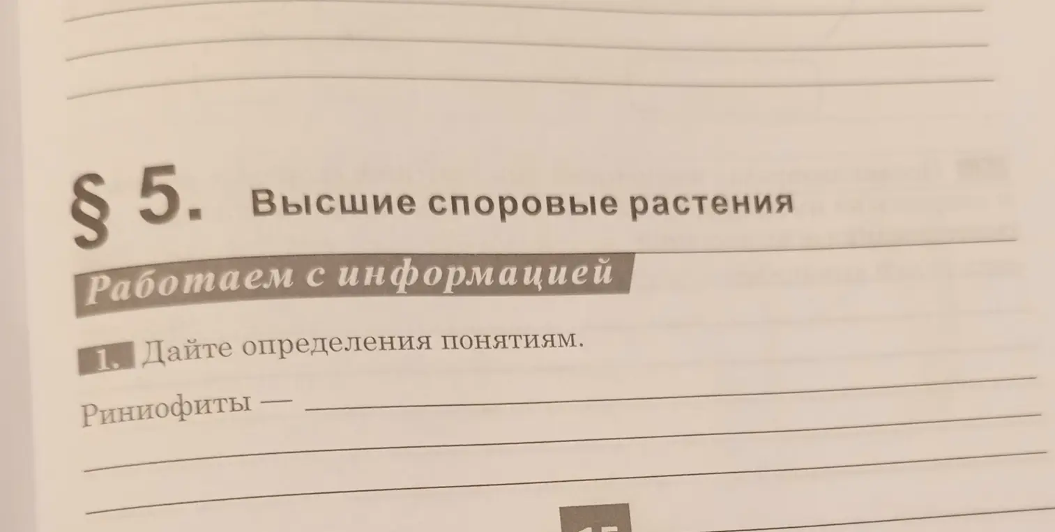 Дай определение понятию "Риниофиты".
