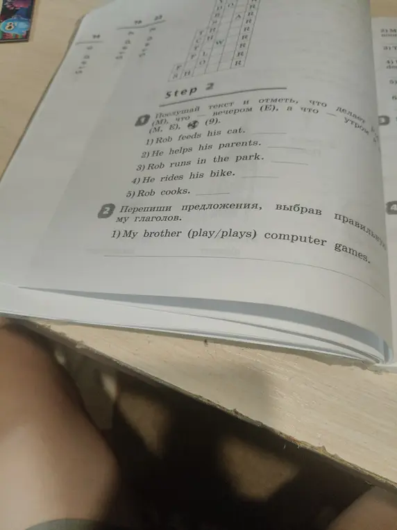 Перепиши предложения, выбрав правильную форму глагола: My brother (play/plays) computer games.