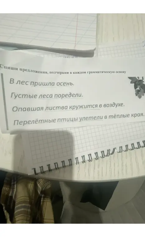 Спиши предложения и подчеркни в каждом грамматическую основу