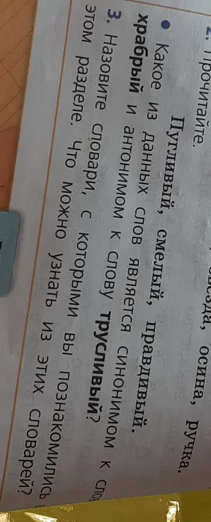 Определи синоним к слову "храбрый" и антоним к слову "трусливый". Назови словари, с которыми ты познакомился в этом разделе и что можно узнать из этих словарей.