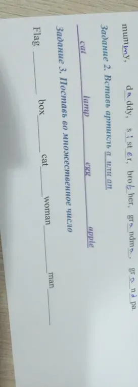Вставь артикль a или an в задании 2 и поставь во множественное число в задании 3.