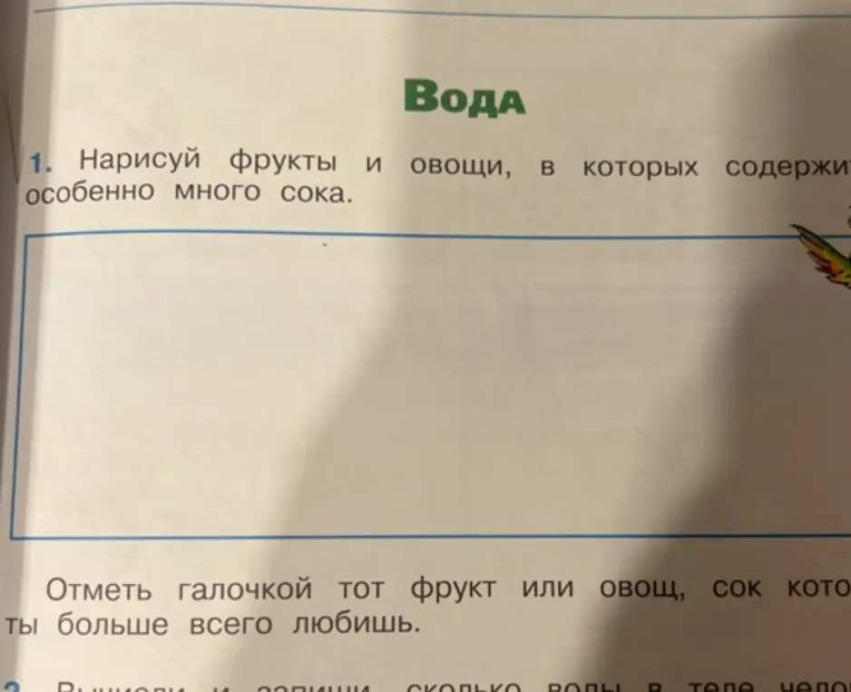Нарисуй фрукты и овощи, в которых содержится особенно много сока.