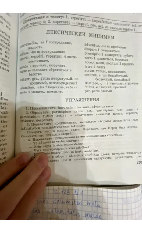 Сделай множественное число для «haec calamitas mala, adventus sacer»