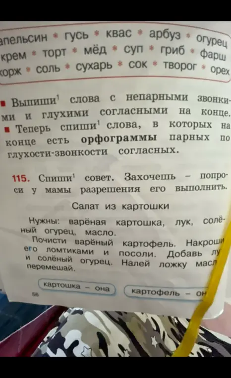 Выпиши слова с непарными звонкими и глухими согласными на конце и спиши слова, в которых на конце есть орфограммы парных по глухости-звонкости согласных.