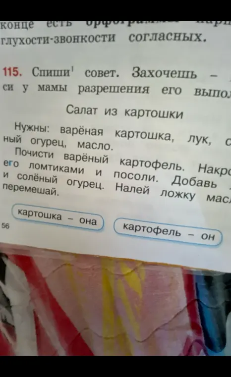Спиши текст про салат из картошки и определи род слов: картошка и картофель.