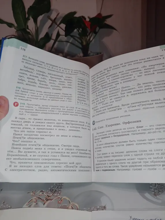 Спиши текст до слов «Я не находил слов для ответа...», оформляя разговор как диалог, расставляя знаки препинания, выписывая слова с пропущенными разделительными ъ и ь и подчёркивая разделительные ъ и ь.