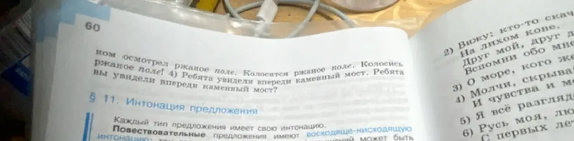 Определи, в каких предложениях выделенные слова являются подлежащими, дополнениями, обращениями, выпиши предложения, в которых есть обращения, поставь необходимые знаки препинания.