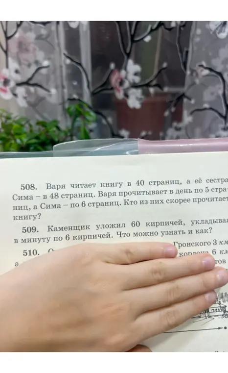 Реши задачи 508 и 509 про чтение книг и укладку кирпичей.
