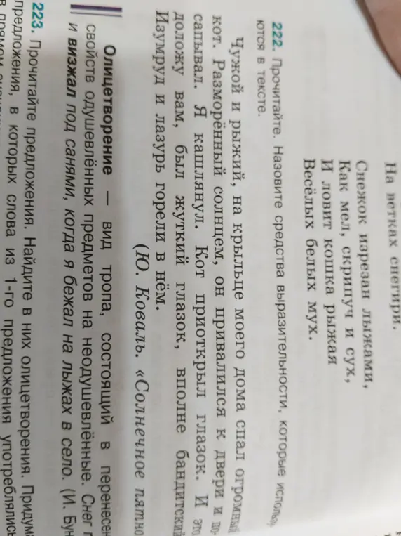 Назови средства выразительности, которые используются в тексте про кота.