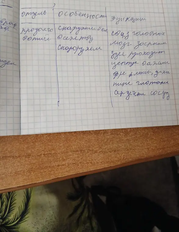 Опиши таблицу про отделы, особенности и функции.