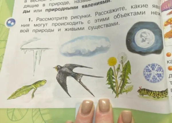 Рассмотри рисунки и расскажи, какие явления могут происходить с этими объектами неживой природы и живыми существами.
