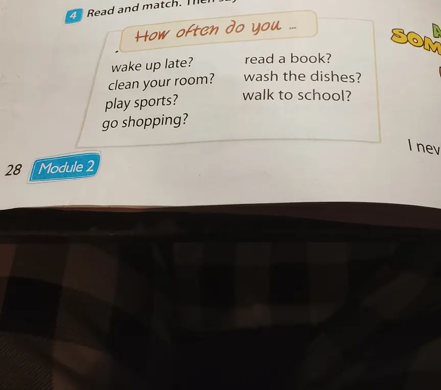 Составь предложения, используя фразы из рамки "How often do you...?"