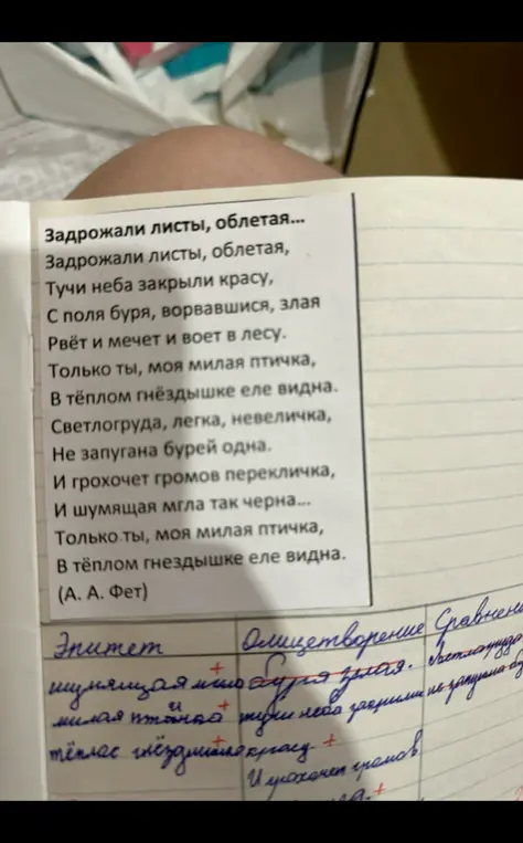 Найди эпитеты, олицетворения и сравнения в стихотворении Фета.