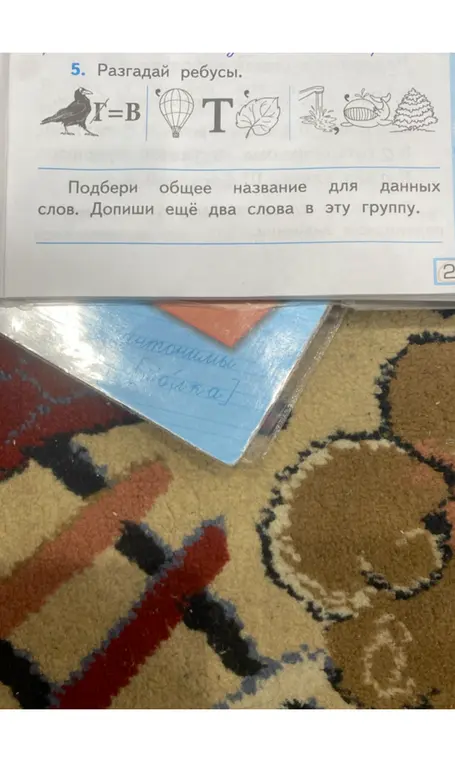 Разгадай ребусы и подбери общее название для данных слов. Допиши ещё два слова в эту группу.
