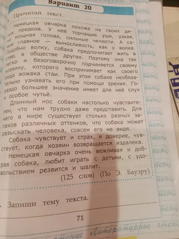 Запиши тему текста.