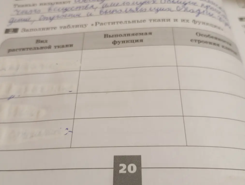 Заполни таблицу про растительные ткани, их функции и особенности строения.