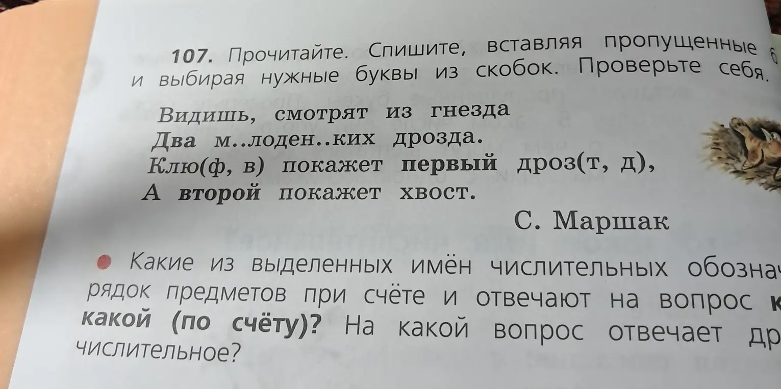 Спиши текст, вставляя пропущенные и выбирая нужные буквы из скобок. Определи, какие из выделенных имён числительных обозначают порядок предметов при счёте и отвечают на вопрос какой (по счёту)? На какой вопрос отвечает другое числительное?