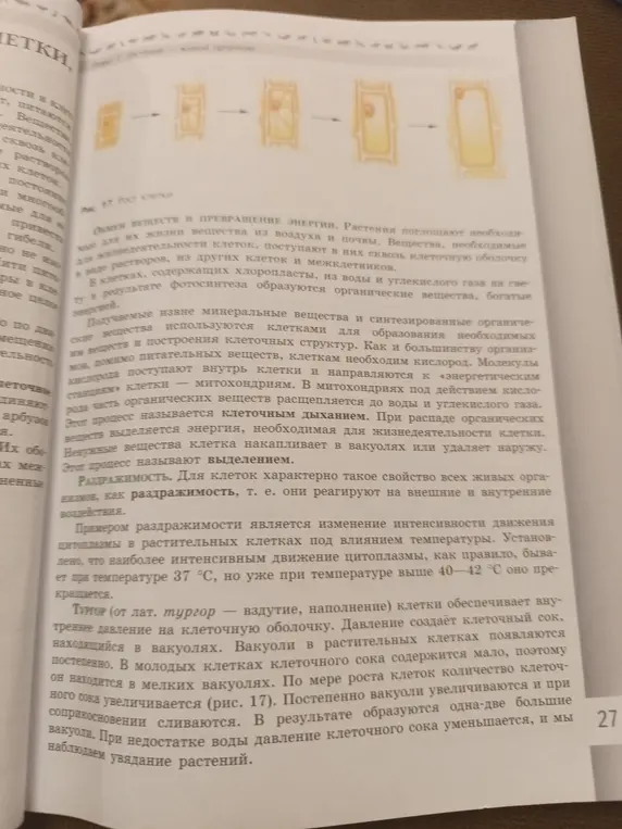 Найди все опережения в тексте.